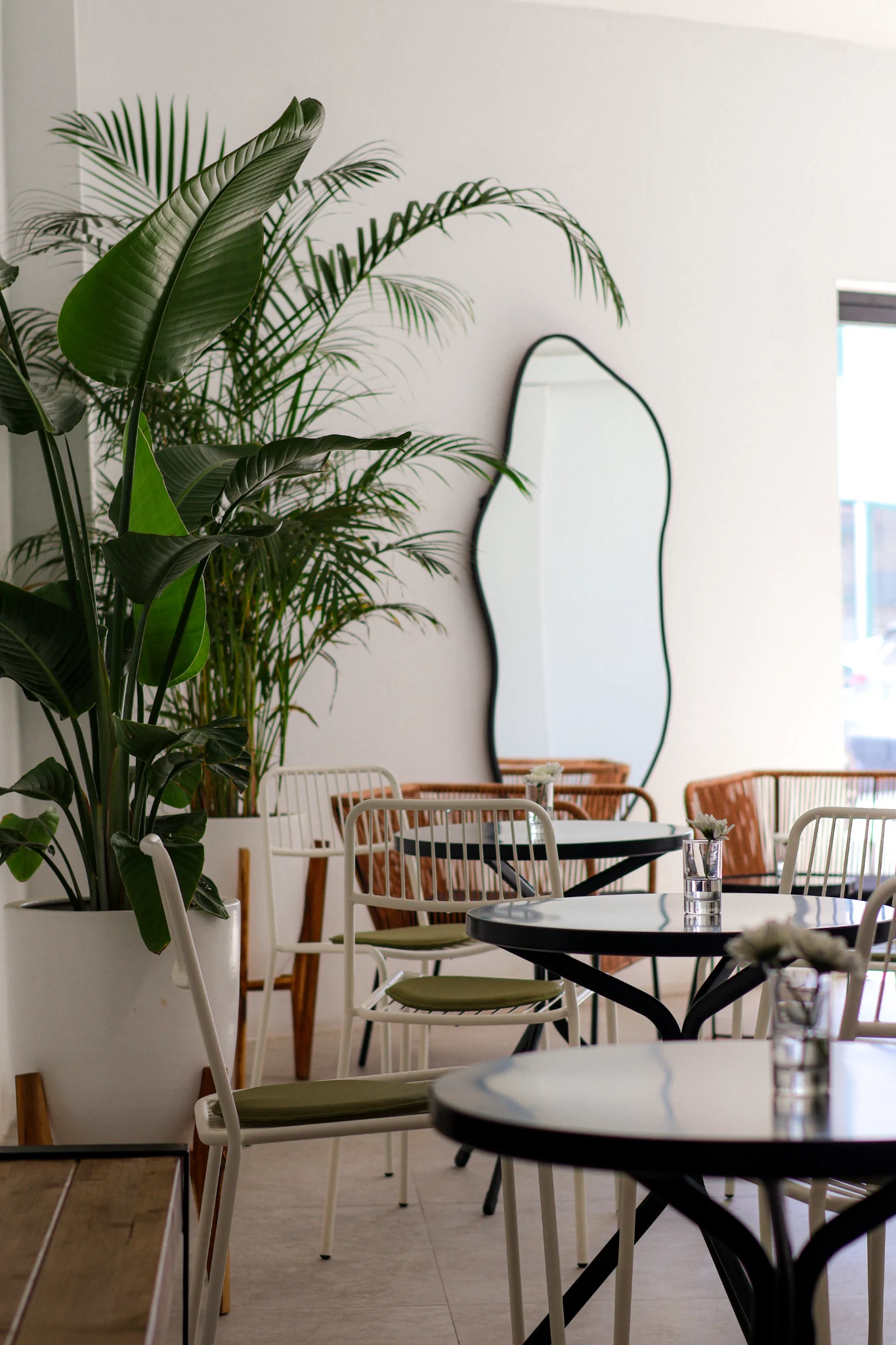 White chairs, black tables, plants and a curved mirror in Los Santos Café.