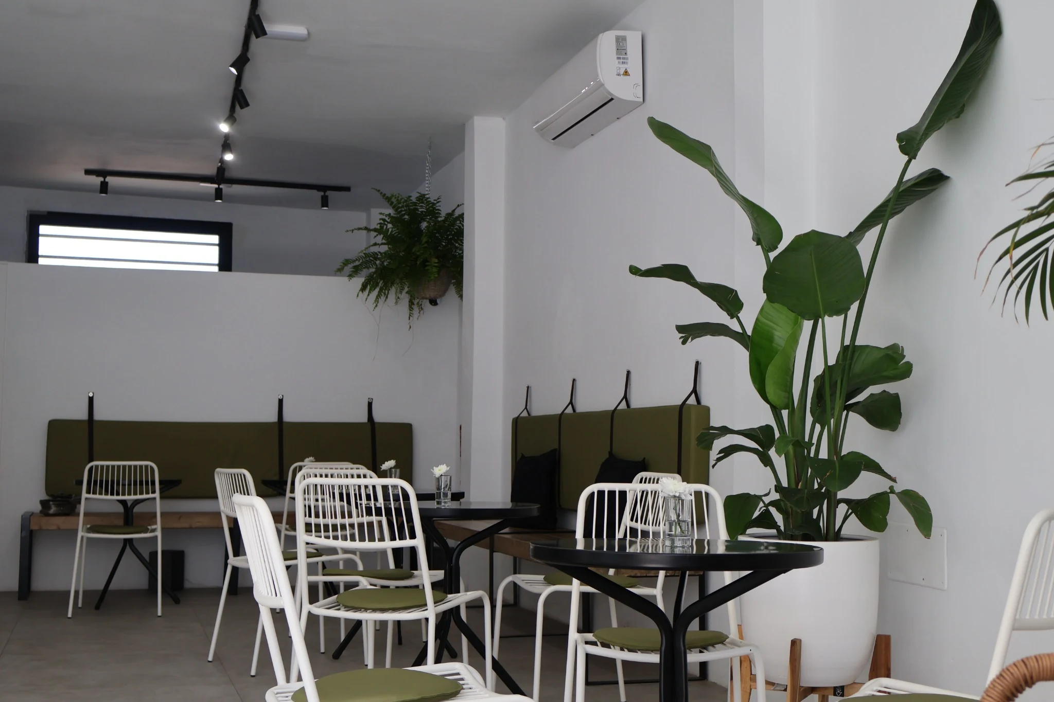 Wide view of Los Santos Café with a wooden bench, olive cushions and white chairs.